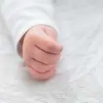 Bougee Bebe