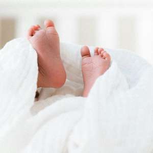 Bougee Bébé
